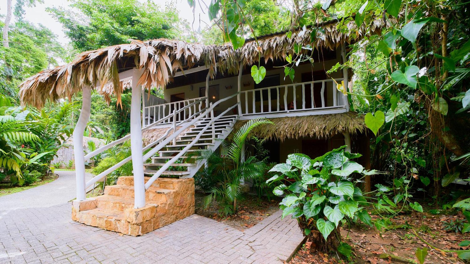 Cariblue Beach And Jungle Resort Puerto Viejo de Talamanca Phòng bức ảnh