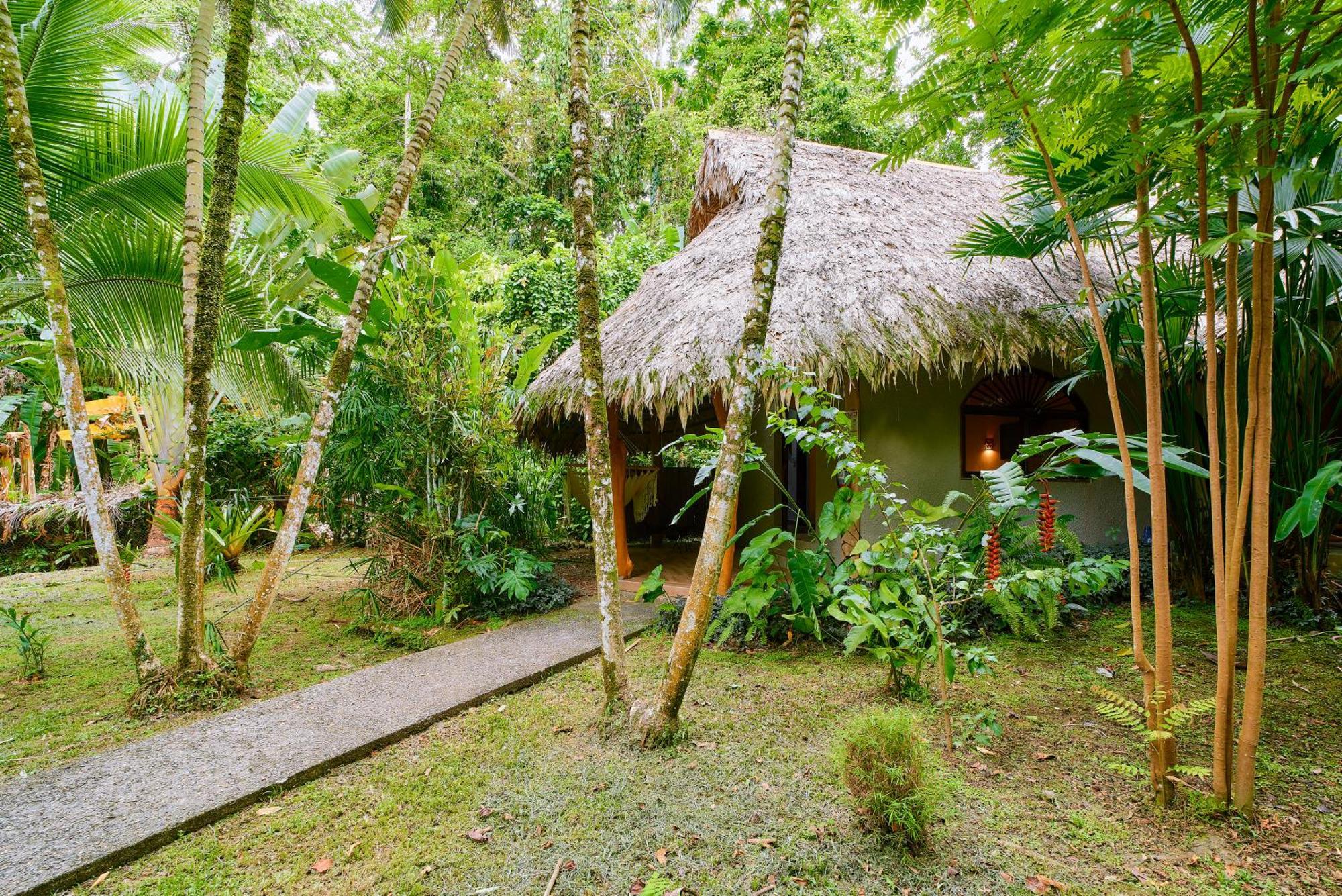 Cariblue Beach And Jungle Resort Puerto Viejo de Talamanca Phòng bức ảnh