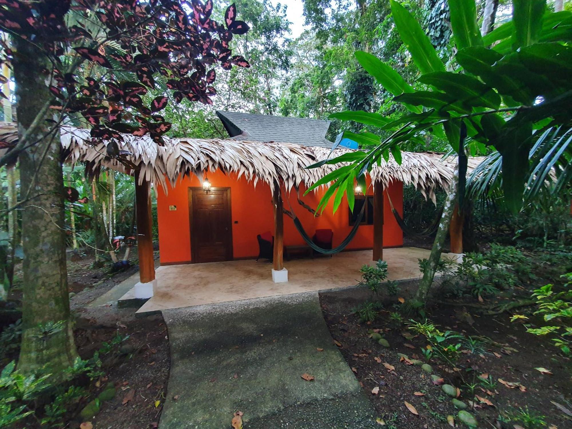 Cariblue Beach And Jungle Resort Puerto Viejo de Talamanca Phòng bức ảnh